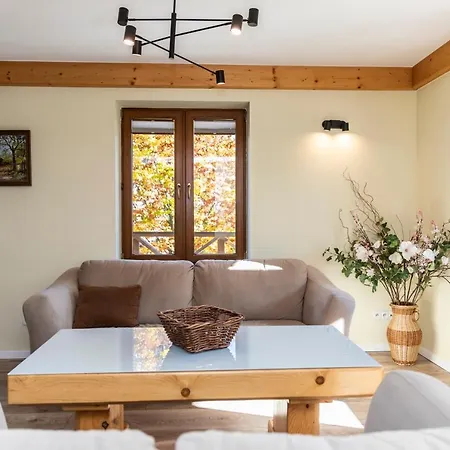 Chalet Domy Sywarne Z Sauna I Widokiem Na Gory Koscielisko